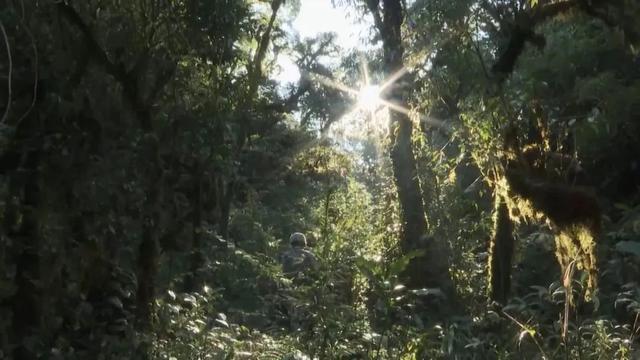 部隊穿越哀牢山現(xiàn)場實拍，一線部隊行進(jìn)畫面曝光