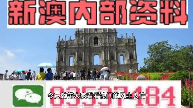 新澳資料大全正版資料2024年免費(fèi)下載，準(zhǔn)確資料解釋落實(shí)_WP88.61.16