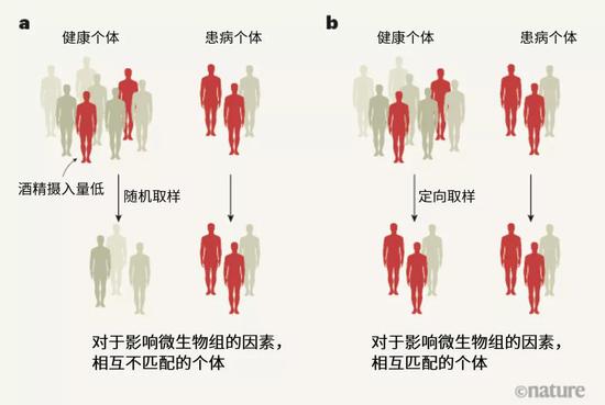 探索人體奧秘的新領(lǐng)域，最新窩窩人體研究揭秘人體奧秘