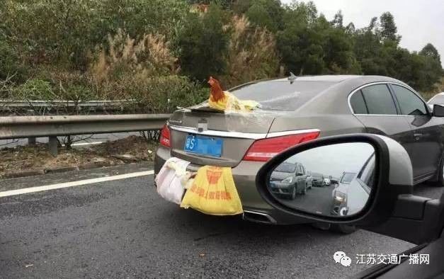 車主高速遇陪跑伙伴，雙閃告別顯真情