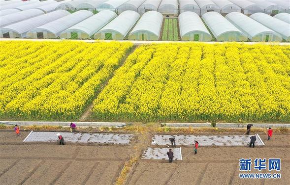 陽陽最新動態(tài)，聚焦2月26日新聞與事件，陽陽二日要聞回顧（附詳細(xì)事件編號）