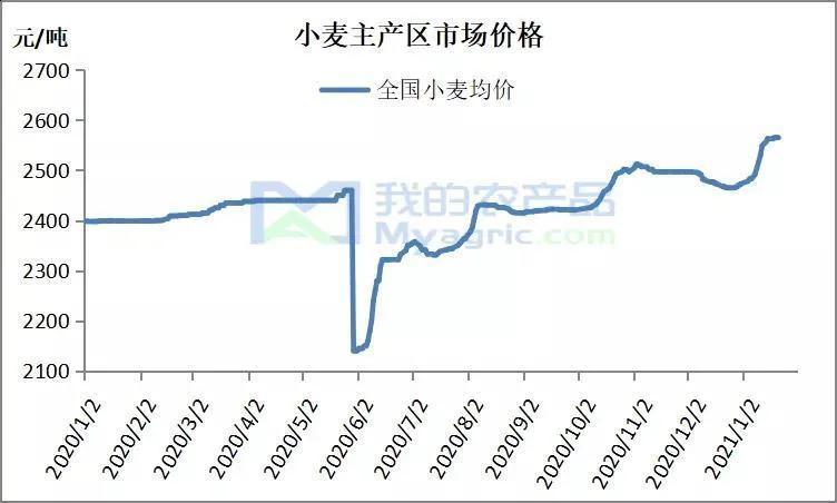 關(guān)于小麥價(jià)格的最新行情，以2月26日為例的行情分析（附小麥價(jià)格表）