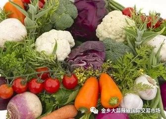 秋季蔬菜盛宴，豐富多樣且供應(yīng)充足的原因分析