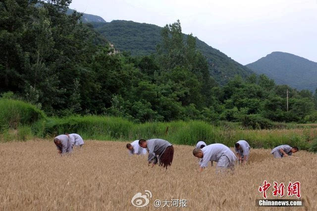 種麥啟程，探尋變化之力與人生豐收季的收獲之道