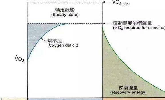 最新生理周期解析，洞悉健康奧秘，掌握生理日歷的規(guī)律