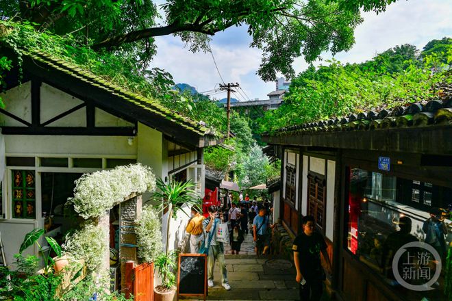 合肥小巷深處的幼教新星，隱藏版幼兒園探秘與新增園所揭秘