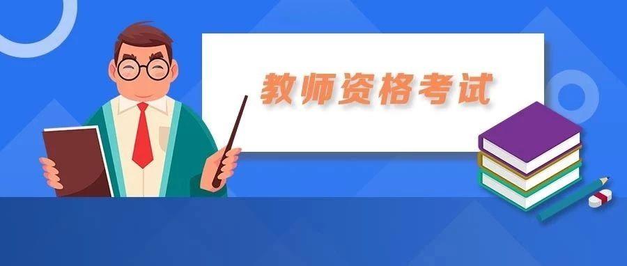 11月3日中小學教師取消編制最新消息真相解析與觀點闡述