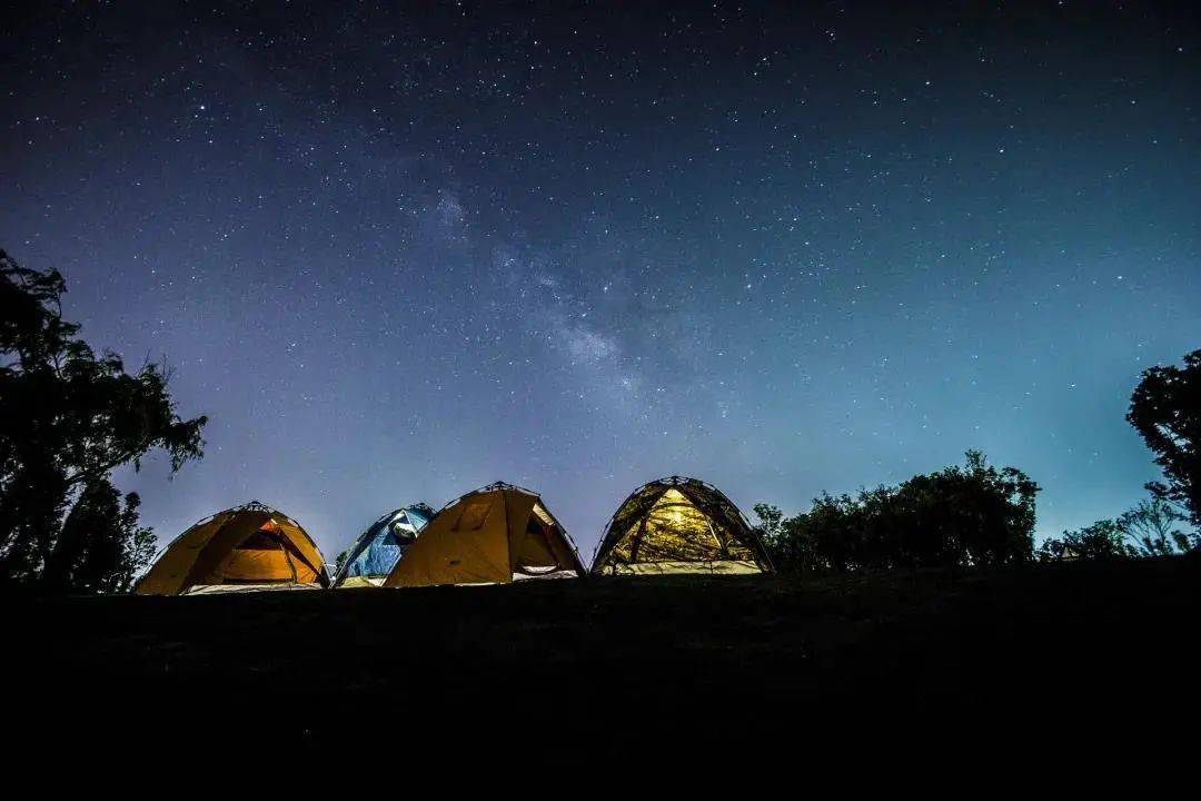 上海最新疫情通報會議，探索自然之旅，尋求內心寧靜與平和的新篇章