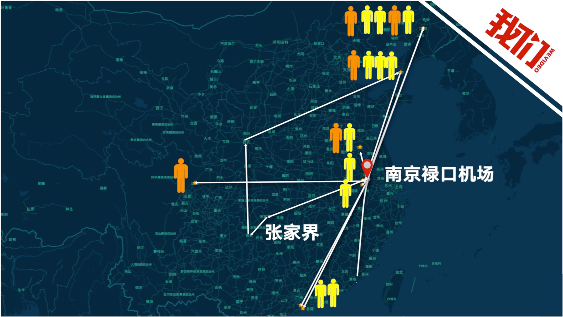 全面評測與深度解析，11月4日疫情最新軌跡