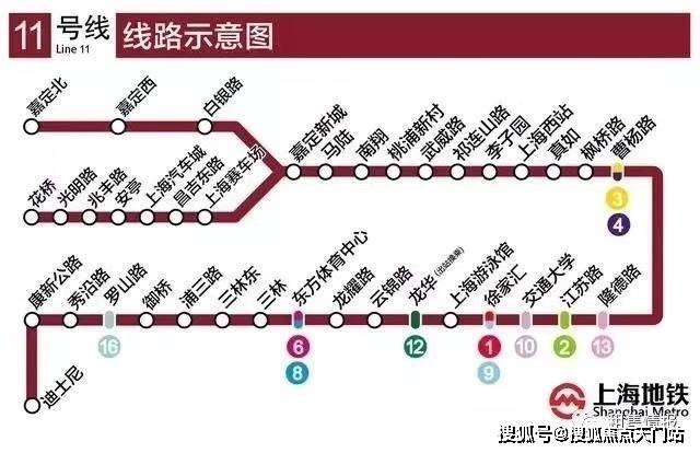 11月4日我要這樣生活最新，全面評(píng)測(cè)與介紹