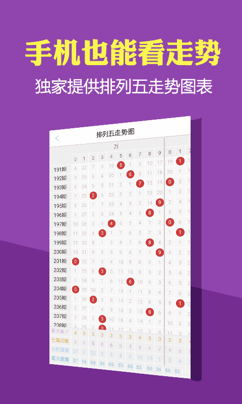 管家婆一碼一肖資料大全四柱預測,結(jié)構(gòu)解答解釋落實_尊貴版11.466