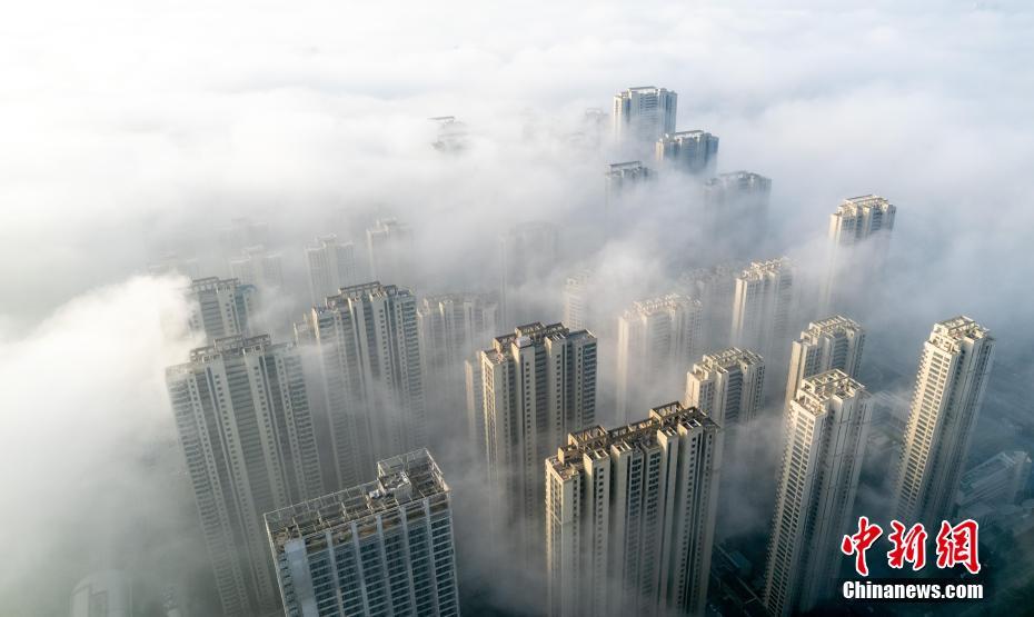 天津房貸利率與自然美景之旅，探尋利率背后的寧靜力量與十一月十日的獨(dú)特魅力