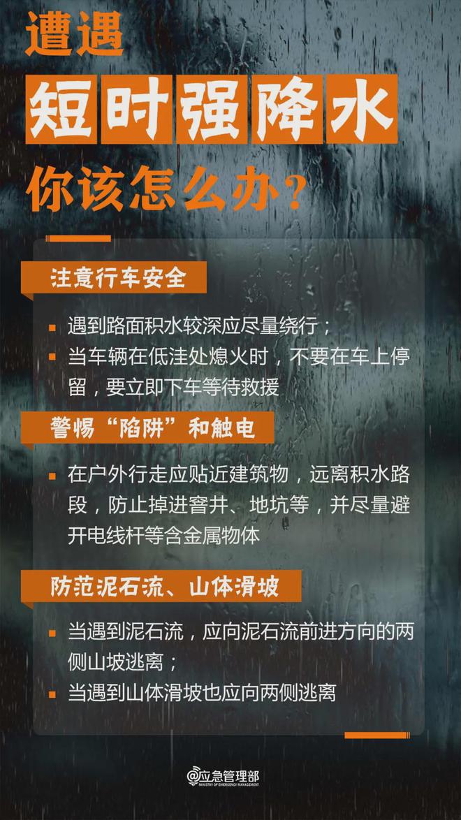 管家婆獨(dú)家一碼一肖匯總，ESX698.06防御計(jì)劃深度解析