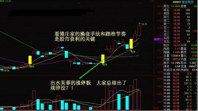 管家婆精準一碼一肖預測，智能版高效規(guī)劃_FQD61.338升級版