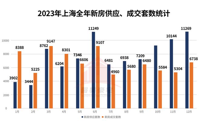 2024年11月16日電梯最新資訊大揭秘，全面評測與詳細介紹