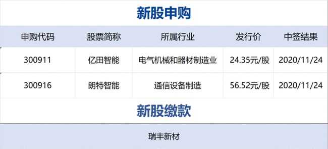 美國歷史上11月16日競選票深度解析與最新進展報告