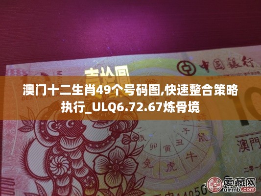 澳門(mén)十二生肖49個(gè)號(hào)碼圖,快速整合策略執(zhí)行_ULQ6.72.67煉骨境