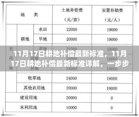 11月17日耕地補償最新標準詳解，申請與獲得補償?shù)牟襟E指南