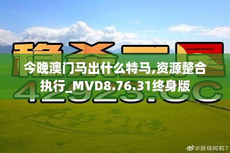 今晚澳門馬出什么特馬,資源整合執(zhí)行_MVD8.76.31終身版