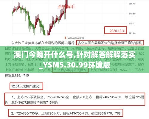 澳門今晚開什么號,針對解答解釋落實_YSM5.30.99環(huán)境版