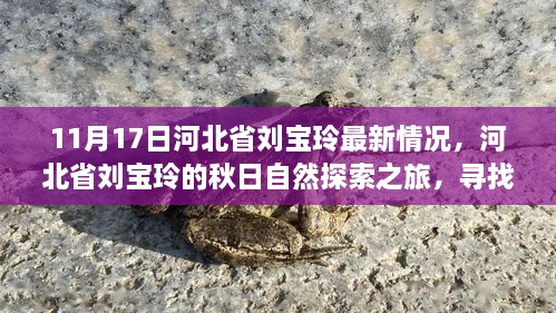 河北省劉寶玲秋日自然探索之旅，尋找內(nèi)心的寧?kù)o與喜悅最新進(jìn)展（11月17日）