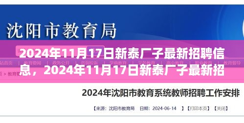 2024年11月17日新泰廠子最新招聘信息與職業(yè)發(fā)展機(jī)遇深度探索