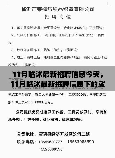 11月臨沭最新招聘信息匯總，就業(yè)市場觀察與個人選擇