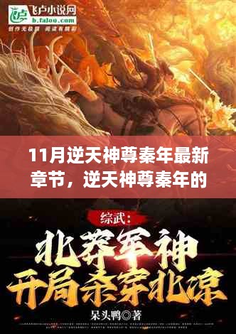 逆天神尊秦年之十一月暖陽(yáng)下的友情紐帶與日常趣事