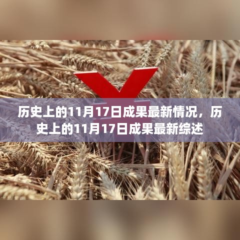 歷史上的11月17日成果最新綜述與進(jìn)展報告