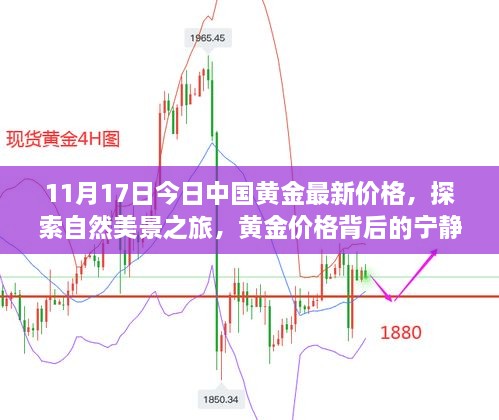 今日黃金價(jià)格揭秘，寧?kù)o力量背后的黃金旅程與探索自然美景之旅