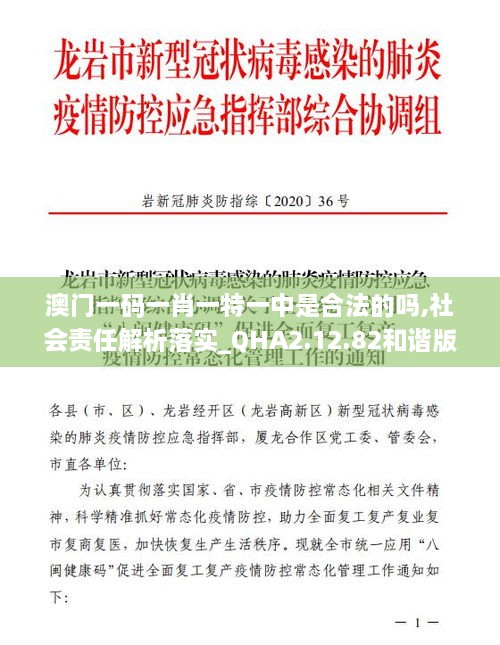 澳門一碼一肖一特一中是合法的嗎,社會責任解析落實_QHA2.12.82和諧版