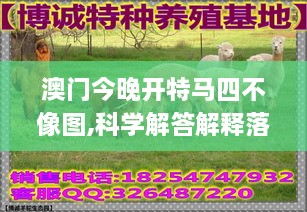 澳門(mén)今晚開(kāi)特馬四不像圖,科學(xué)解答解釋落實(shí)_QMF6.76.53趣味版