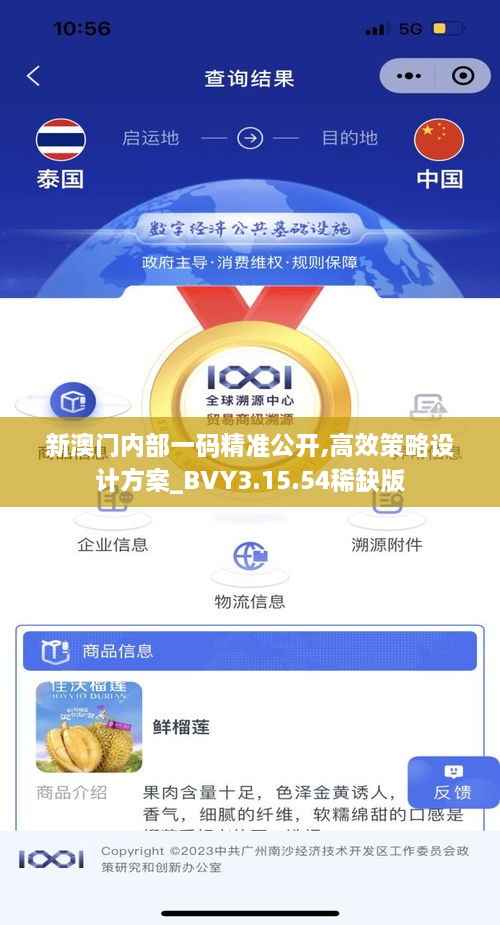 新澳門內(nèi)部一碼精準(zhǔn)公開,高效策略設(shè)計(jì)方案_BVY3.15.54稀缺版