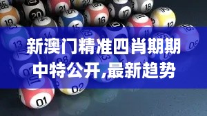 新澳門精準(zhǔn)四肖期期中特公開,最新趨勢解答解釋策略_BJX5.60.56抓拍版