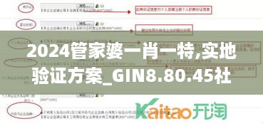 2024管家婆一肖一特,實(shí)地驗(yàn)證方案_GIN8.80.45社交版