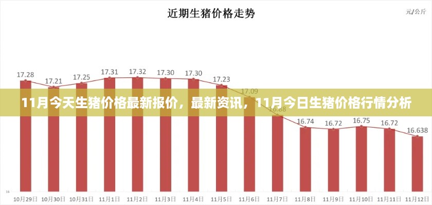 最新資訊，11月今日生豬價(jià)格行情分析與報(bào)價(jià)