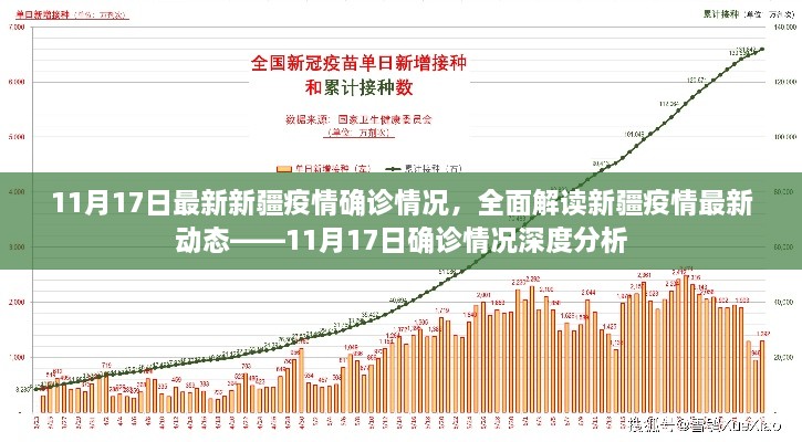 新疆疫情最新動態(tài)深度解讀，11月17日確診情況分析