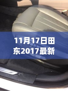 田東地區(qū)最新新聞報道（XXXX年11月17日更新）