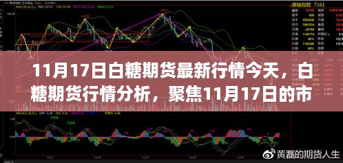 白糖期貨行情分析，聚焦市場動態(tài)與未來展望（最新行情報道，日期，11月17日）