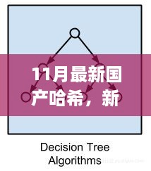 新哈希算法下的暖心日常，友情、家庭與愛(ài)的紐帶（11月最新國(guó)產(chǎn)哈希分享）