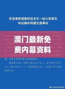 澳門最新免費內(nèi)幕資料，11月19日深度解析與解答方案_SVP8.12.34標(biāo)準(zhǔn)版