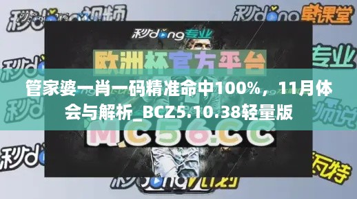 管家婆一肖一碼精準(zhǔn)命中100%，11月體會(huì)與解析_BCZ5.10.38輕量版