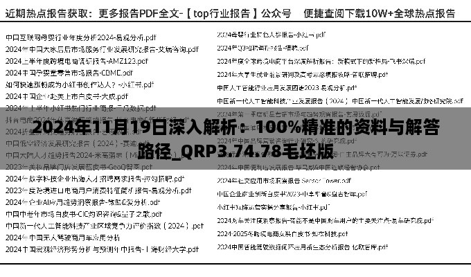 2024年11月19日深入解析：100%精準的資料與解答路徑_QRP3.74.78毛坯版