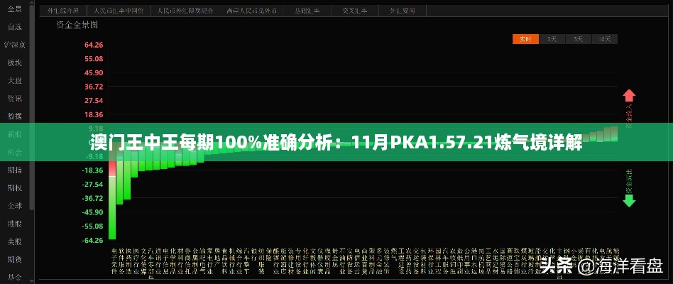 澳門王中王每期100%準確分析：11月PKA1.57.21煉氣境詳解