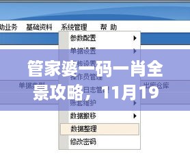 管家婆一碼一肖全景攻略，11月19日實(shí)地計(jì)劃設(shè)計(jì)驗(yàn)證_JSA8.44.26理想版