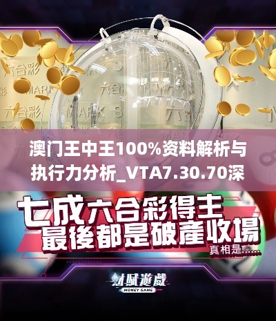 澳門王中王100%資料解析與執(zhí)行力分析_VTA7.30.70深度版_11月19日