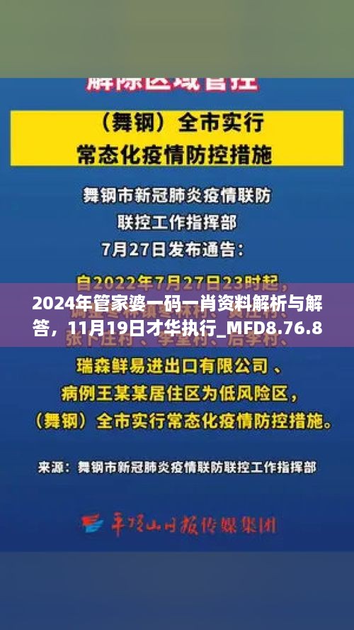 2024年管家婆一碼一肖資料解析與解答，11月19日才華執(zhí)行_MFD8.76.81加速版