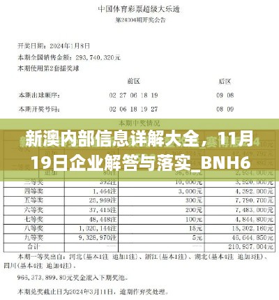 新澳內(nèi)部信息詳解大全，11月19日企業(yè)解答與落實_BNH6.37.71零障礙版