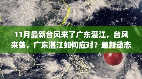 廣東湛江應(yīng)對最新臺風來襲，動態(tài)解析與應(yīng)對策略