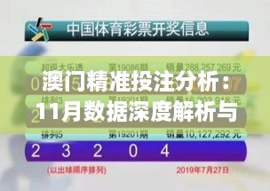 澳門精準投注分析：11月數(shù)據(jù)深度解析與VAE3.74.27無線版設(shè)計